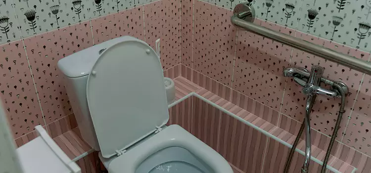 Meeting Diverse Needs With Accessible Restroom Solutions in Redondo Beach, CA