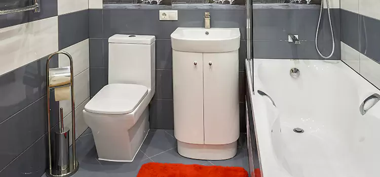 Hansgrohe Shaving Mirror Redondo Beach